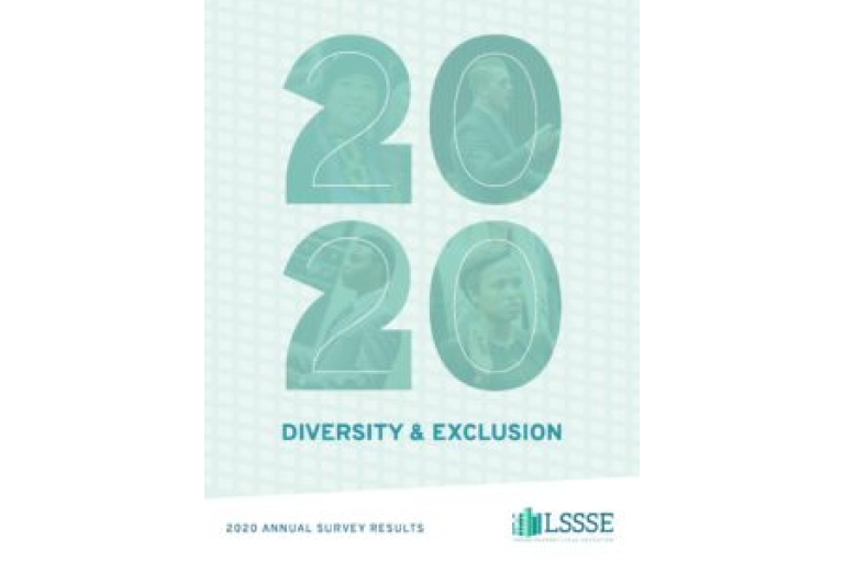 A book cover titled, "2020: Diversity & Exclusion." The cover is a pale blue background with a subtle, geometric pattern. The title "2020" is large and light blue, with each number containing a different photo of a person. The "2" on the top left contains a photo of an Asian woman smiling; the "0" on the top right contains a photo of a white man looking up; the "2" on the bottom left contains a photo of a person of color looking down; and the "0" on the bottom right contains a photo of a white woman looking to the side. At the bottom of the cover is the "LSSSE" logo in a small font.